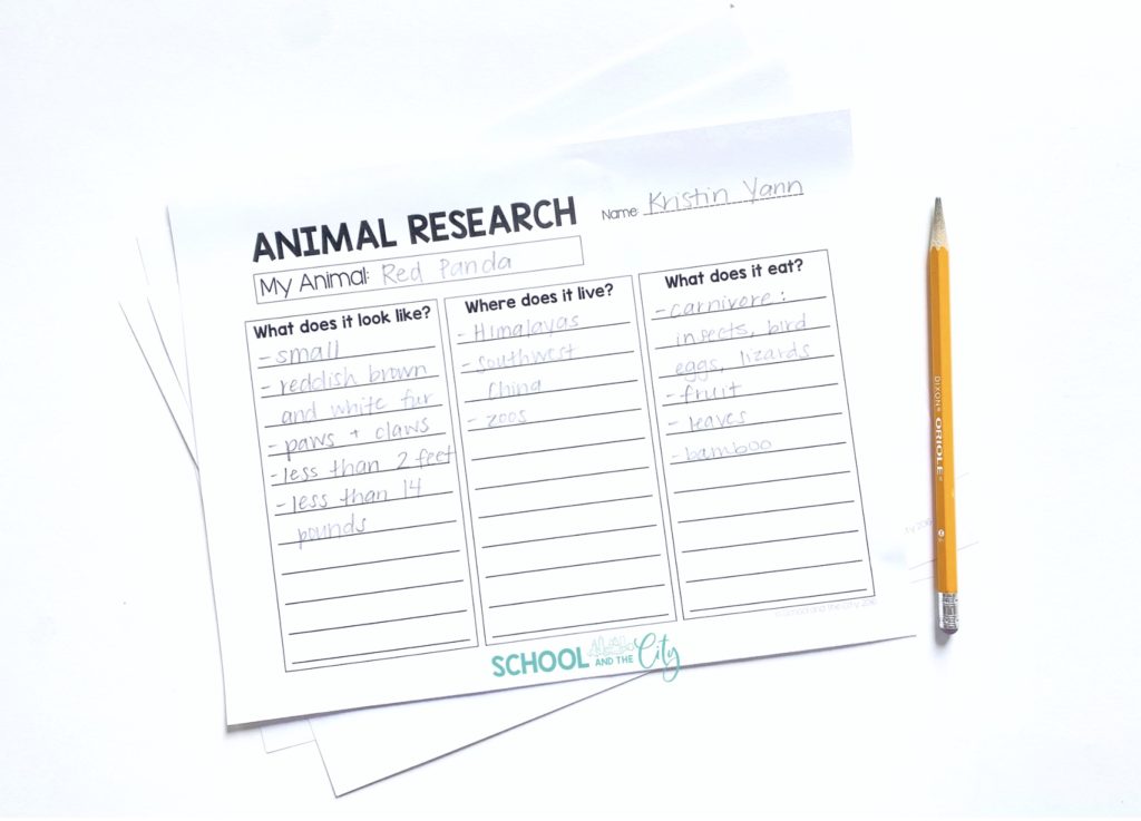 Animal Research Projects - School and the City