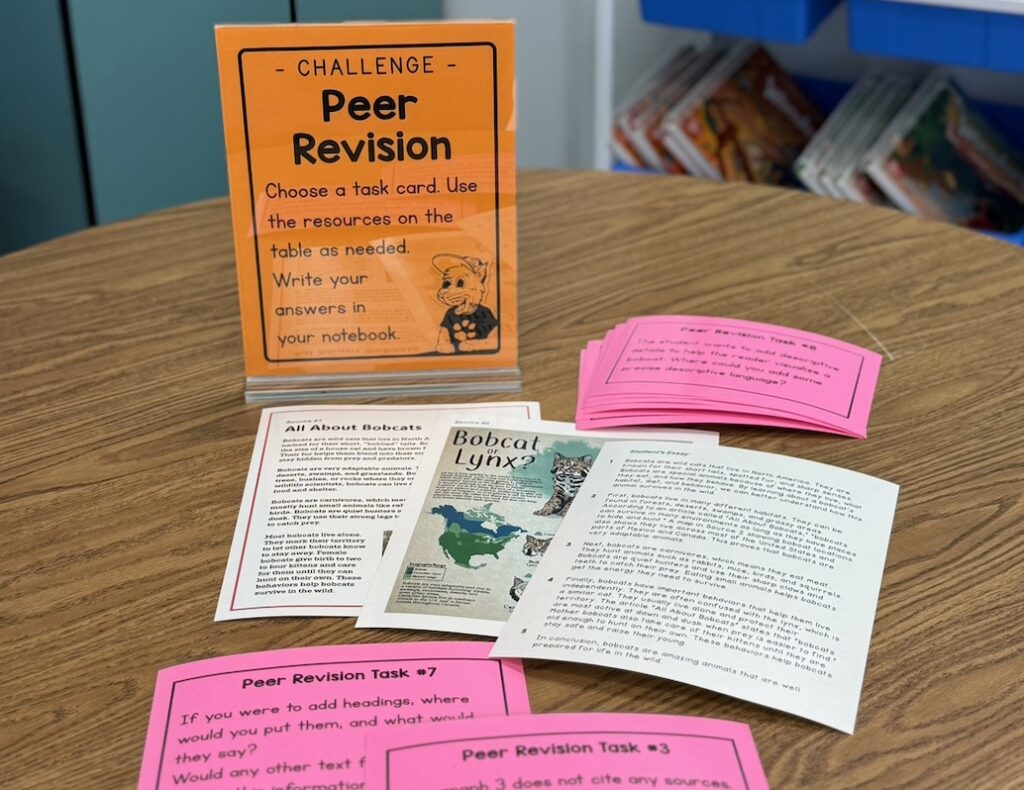writing night activity: 4th grade ELA peer revision tasks